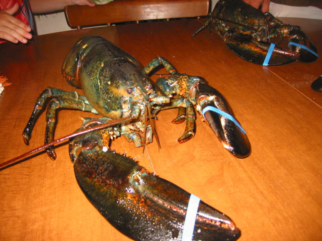 2005/07 July/Cape Cod Trip/640x480_IMG_2131.JPG